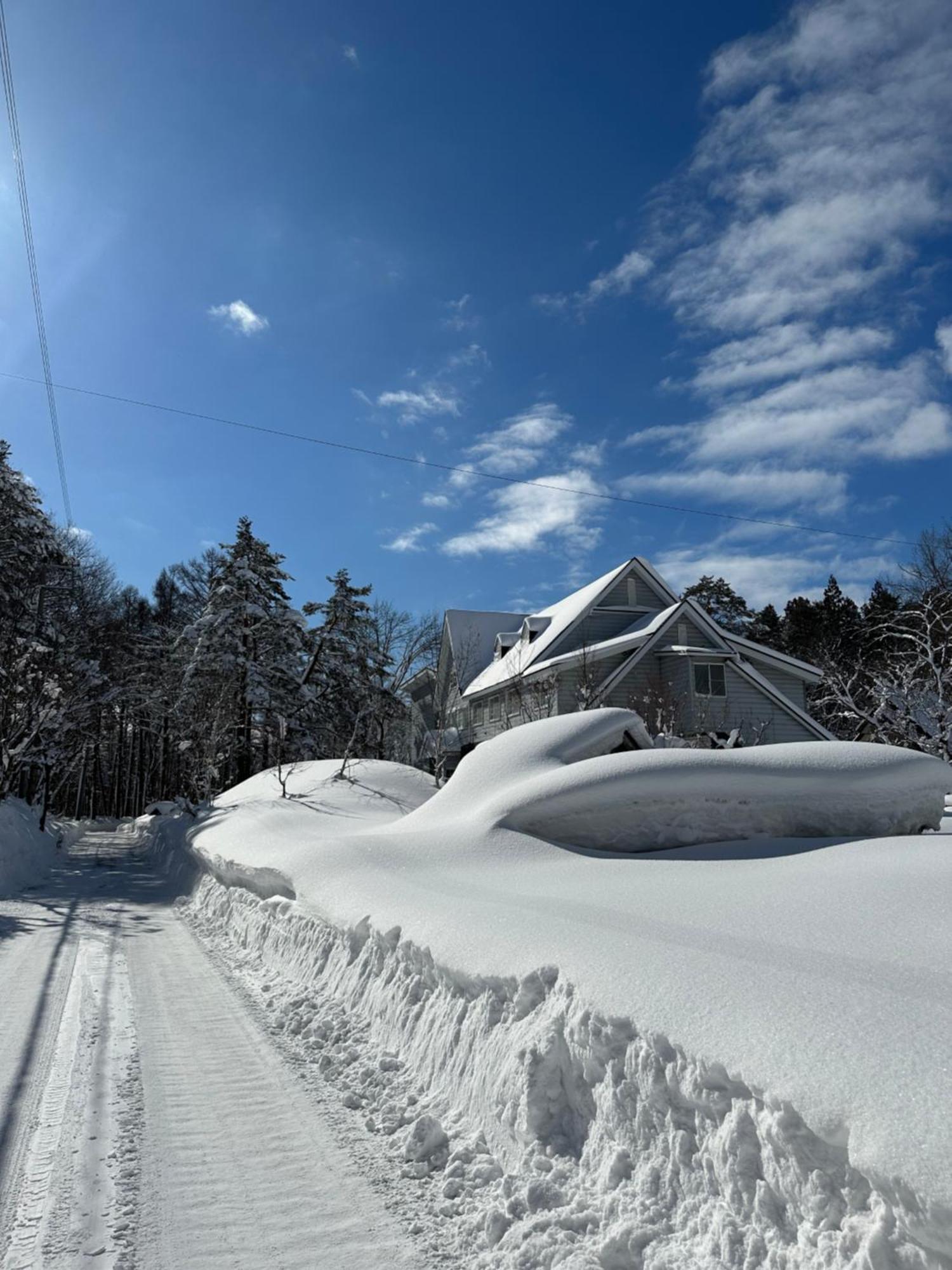 Natural Hot Spring Hakuba Symphony מראה חיצוני תמונה